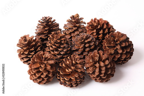 Flowers of pine on white background