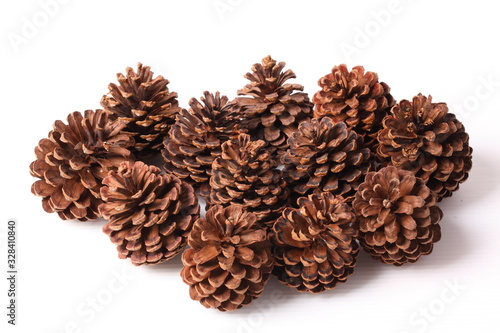 Flowers of pine on white background