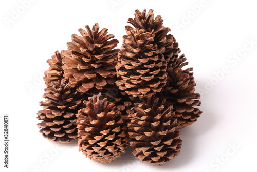 Flowers of pine on white background