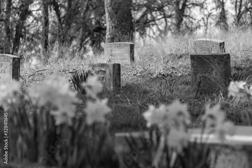 tombstones and flowers
