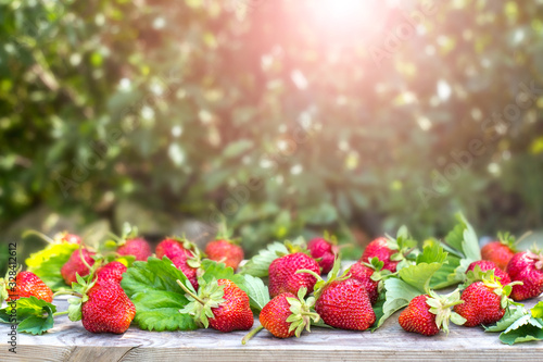 Sweet fresh strawberries in the garden on natural background. Beautiful berries on a simple green background and sun light