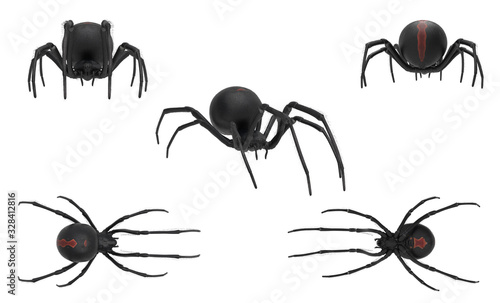 Dangerous and deadly black widow spider on white background multiple poses 3d rendering