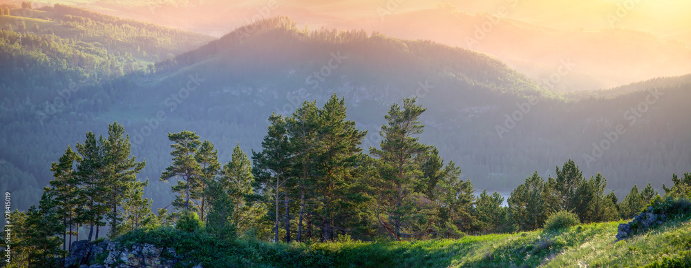 Fototapeta premium Trees and mountain slopes in the sunset light, panorama landscape