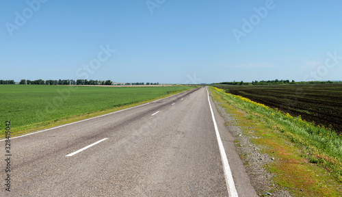Road among green meadows and arable land, blue sky