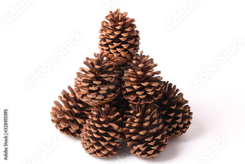 Flowers of pine on white background