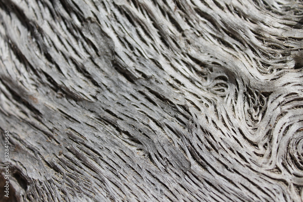Textura madera 4 Textura madera 4