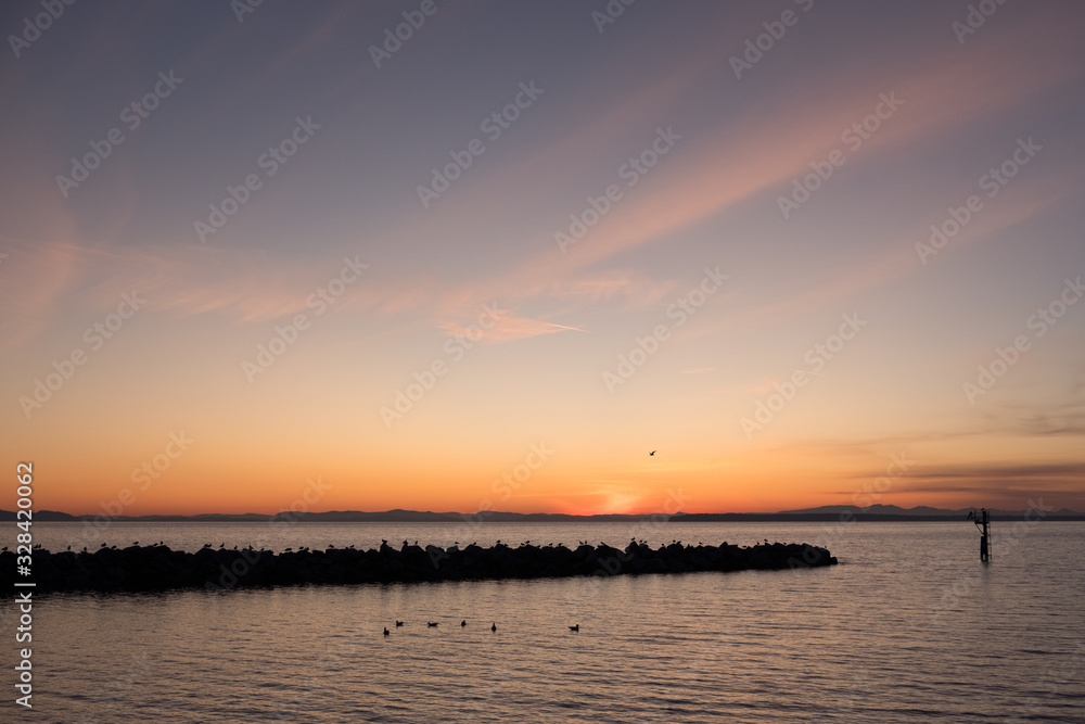 Birds on breakwater near White Rock beach for glorious sunset