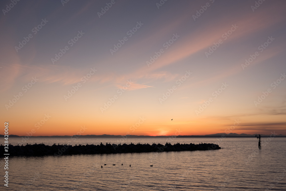 Obraz premium Birds on breakwater near White Rock beach for glorious sunset
