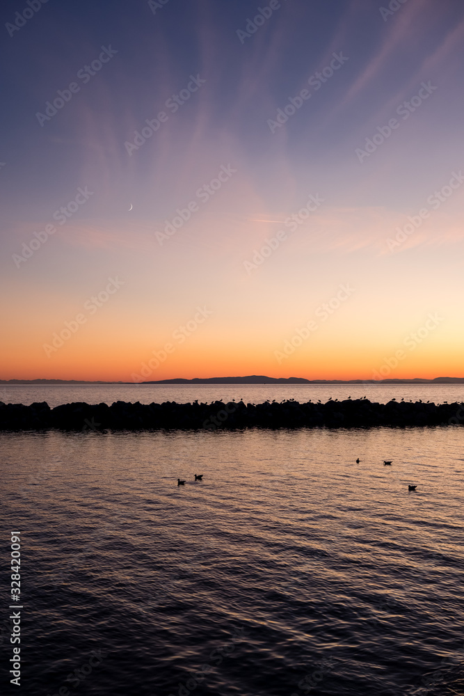 Fototapeta premium Vertical fall sunset with birds on breakwater. White Rock, Canada