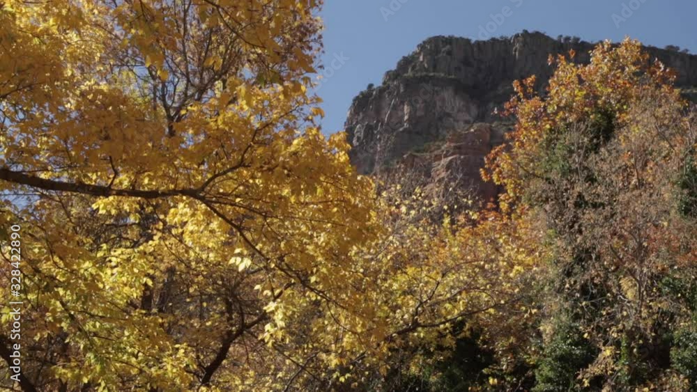 Beautiful Autumn Mountain Scene with Yellow Leaves Beautiful Autumn Mountain Scene with Yellow Leaves