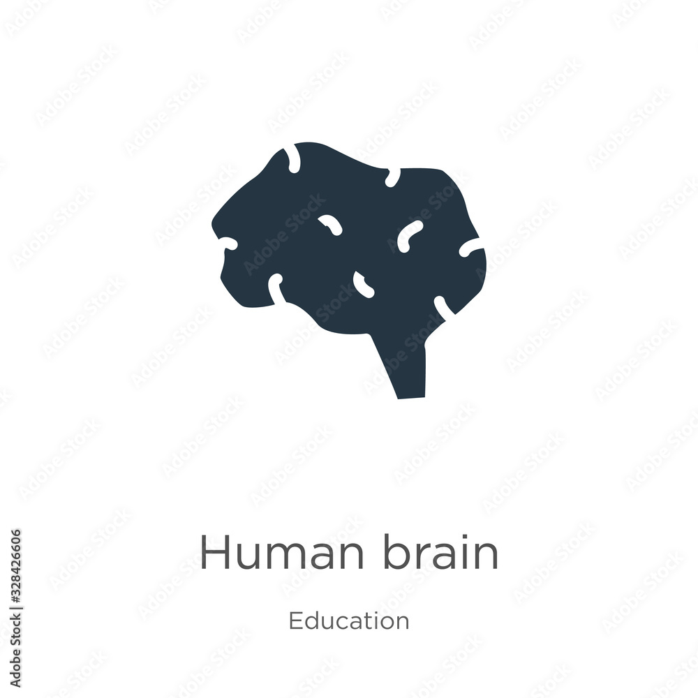 Human brain icon vector. Trendy flat human brain icon from education collection isolated on white background. Vector illustration can be used for web and mobile graphic design, logo, eps10 Human brain icon vector. Trendy flat human brain icon from education collection isolated on white background. Vector illustration can be used for web and mobile graphic design, logo, eps10