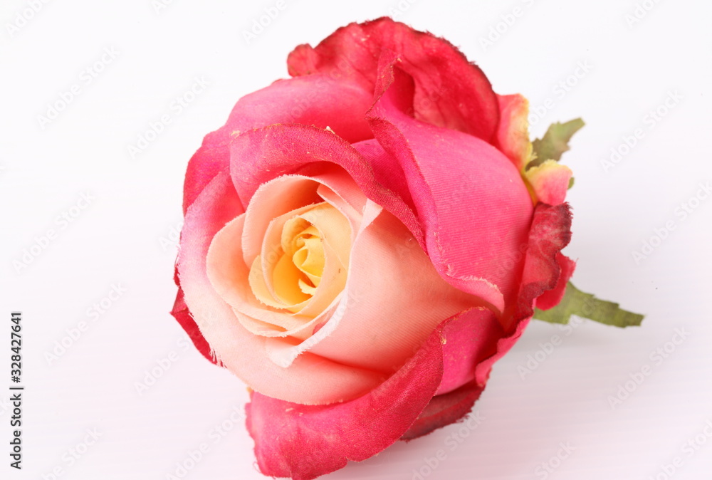 Artificial red roses on white background