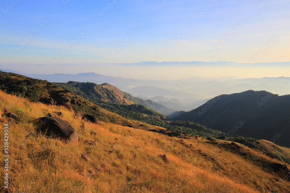 The grassland on the hills in the morning