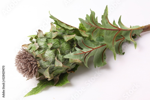 decoration artificial flower isolated on white background