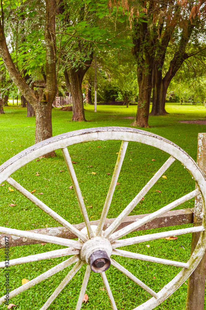  old wagon wheel in a green forest