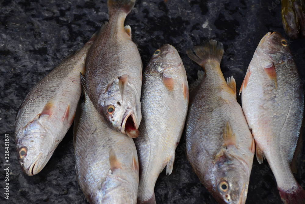 croaker fish Sell in fresh seafood market