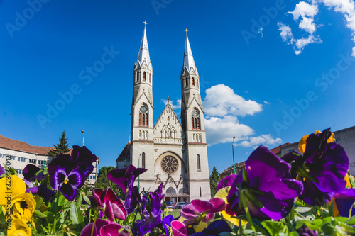 Photography Timisoara, Romano-Catolic Elisabetin  Chatedral, church in Balcescu