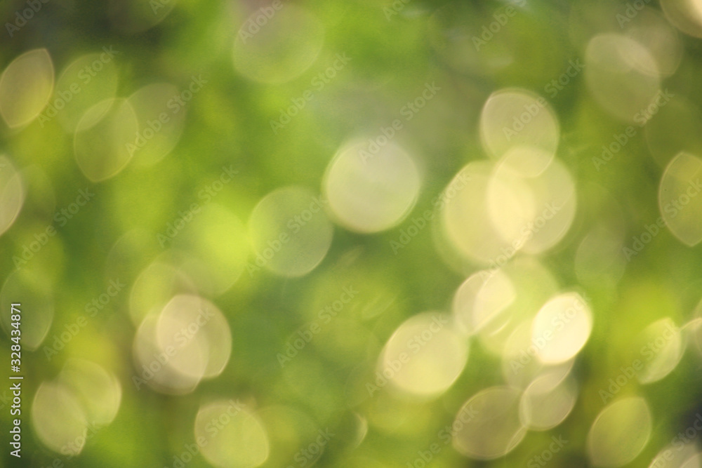 Obraz premium Bokeh green nature, Subtle background in abstract style for graphic design