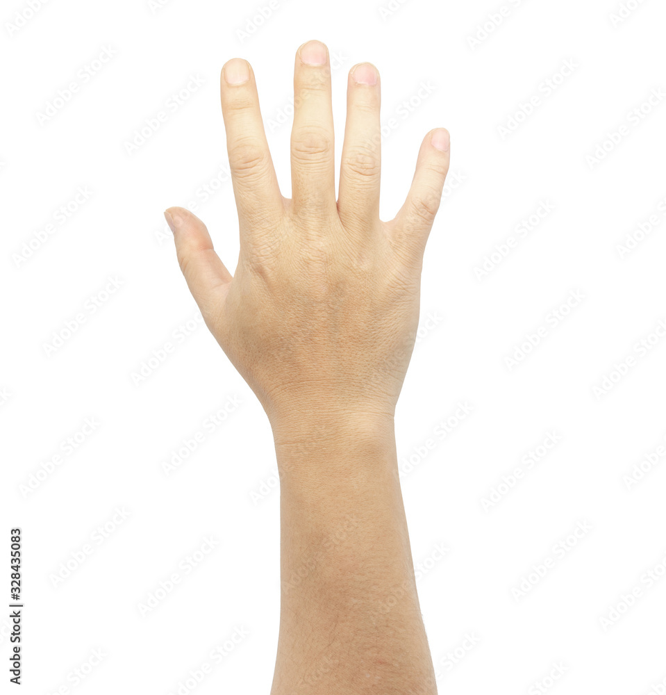 One long arm isolated on white background One long arm isolated on white background