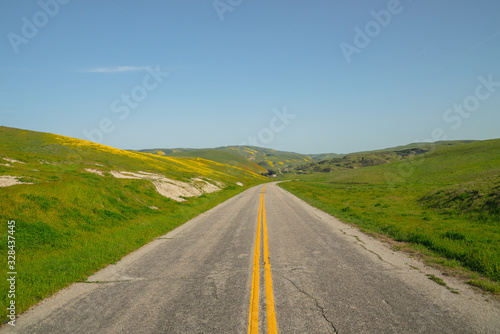 Dual lane path across beautiful hills with blossom flowers. California Spring super-bloom season