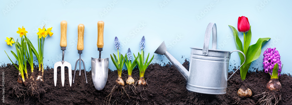 Gardening Tools and Plants - obrazy, fototapety, plakaty 