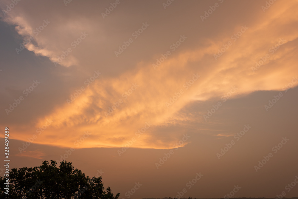 Composition of beautiful sky background, forest and sunset.