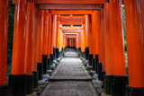 japanese shrine in kyoto, japan