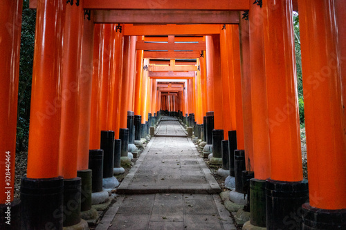 Fotografie, Obraz japanese shrine in kyoto, japan