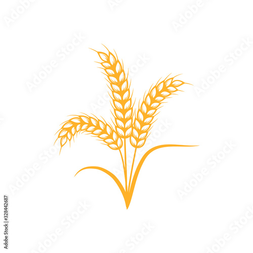 Yellow wheat ears isolated on a white background. Vector illustration of a flat design. Natural cereals.