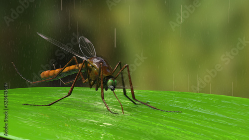 Fototapeta Naklejka Na Ścianę i Meble -  Mosquito landed on green leaf in tropic jungle under rain 3d rendering