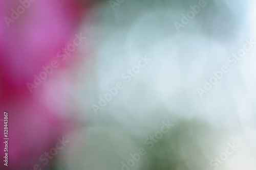 Abstract color light bokeh background.
