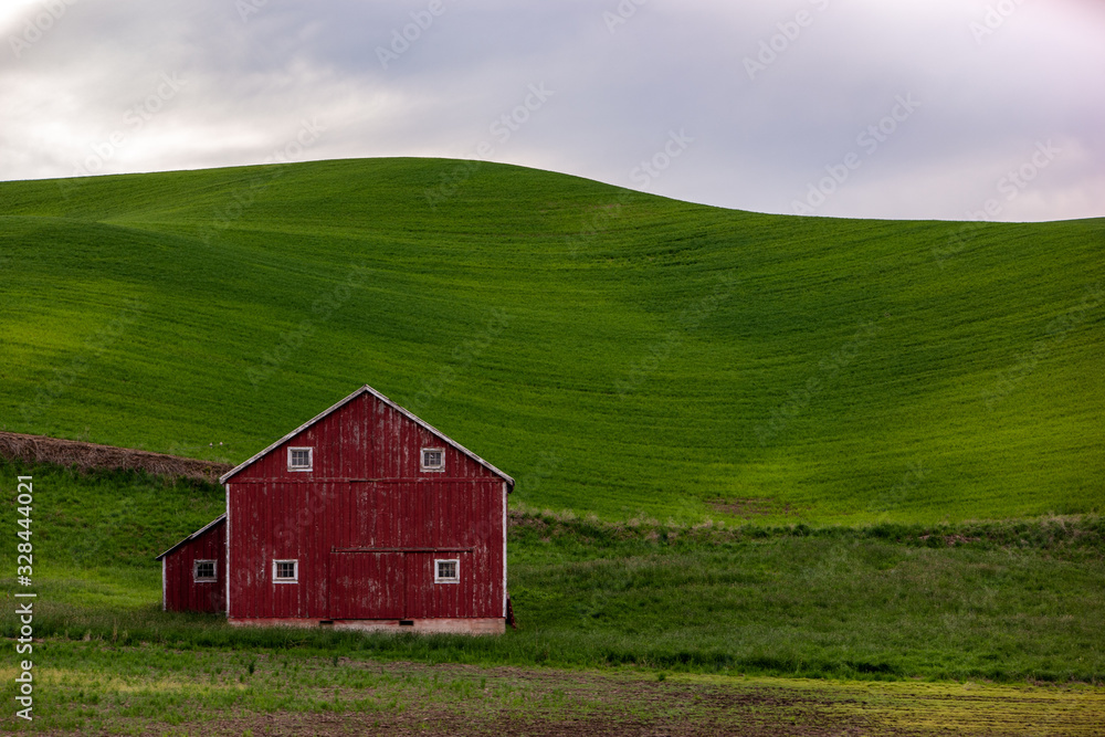 Obraz premium Old Barn in the Palouse