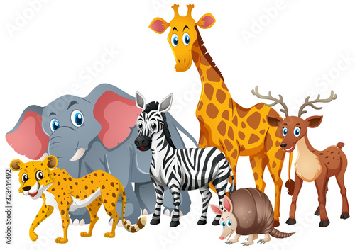 Many cute safar animals standing on white background
