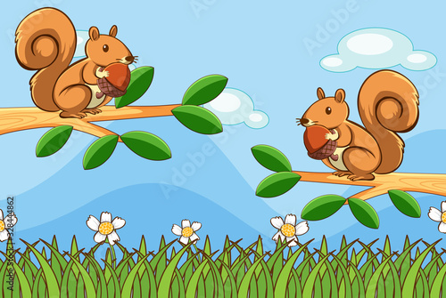 Scene with squirrel in the park