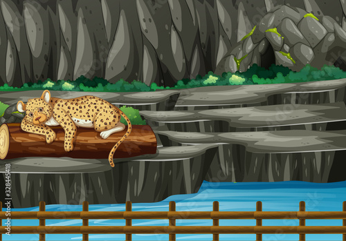 Scene with tiger in the zoo