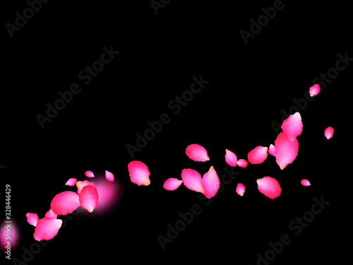 Scarlet admirable petals blowing by wind over black background. Apple spring tree blossom parts confetti. Flower petals vector illustration for inviration card. Seasonal wallpaper.