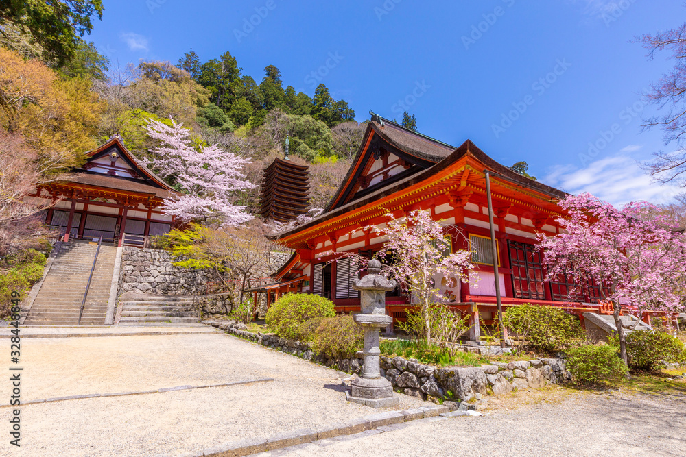 談山神社の桜とけまりの庭