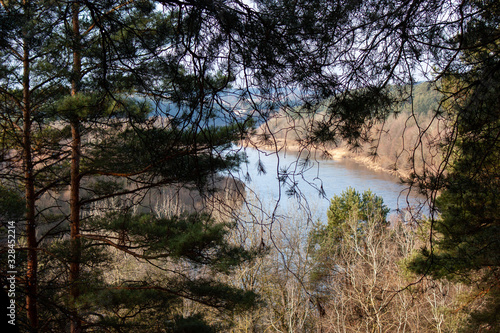 The surroundings of Grodno. Belarus. Neman River through the branches of forest trees.