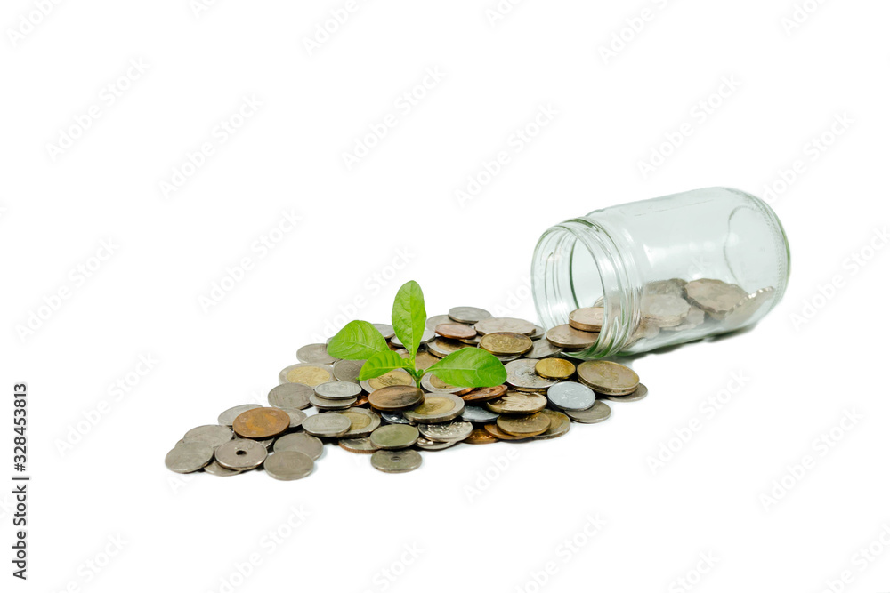 Coins in glass bottles with trees in the concept of saving money and growing on a white background. Coins in glass bottles with trees in the concept of saving money and growing on a white background.