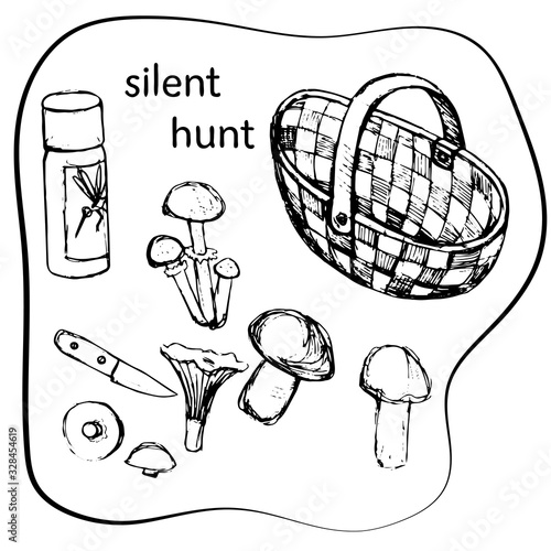 Vector set summer hello, quiet hunt. Hand-drawn doodle outline style. Set of mushroom picker basket, knife, mosquito repellent, porcini mushroom, chanterelle, honey fungus, goby, boletus isolated