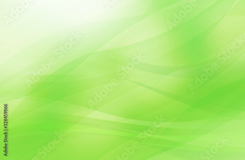 ライトグリーンのソフトな曲線（アブストラクト）
