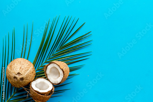 Exotic background with coconuts and palm leaves on blue background top-down copy space