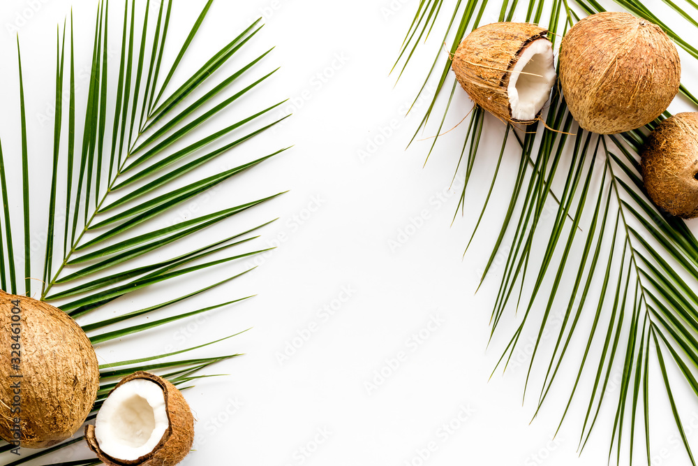 Exotic background with coconuts and palm leaves on white background top-down frame copy space Exotic background with coconuts and palm leaves on white background top-down frame copy space