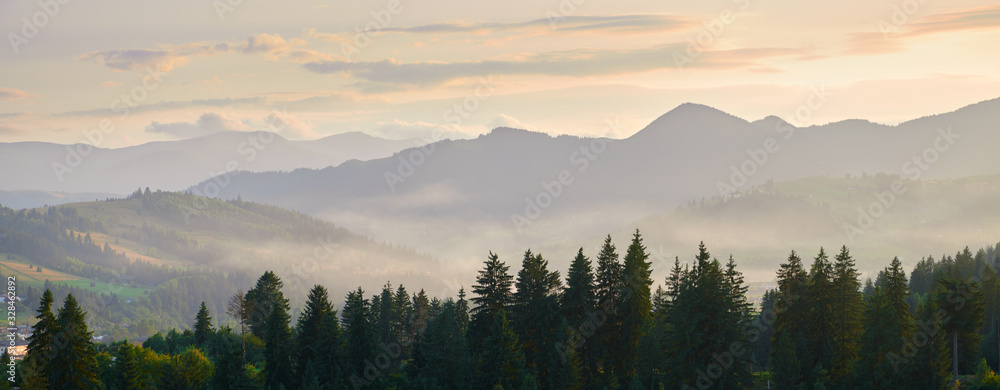 sunset, beautiful cloudy sky in carpathian mountains, summer landscape, spruces on hills