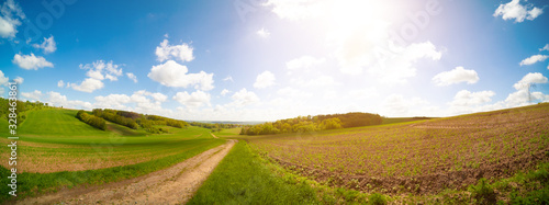 Dirty road in green summer field.  Rural road in the   field