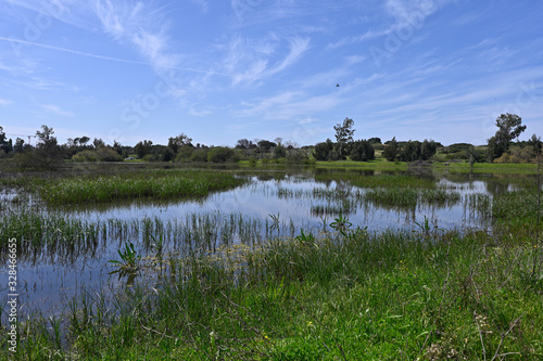 Berekhat Ya'ar Nature Preserve photo