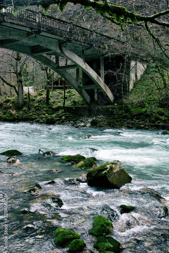 Tableau sur toile Beautiful river in the old forest.