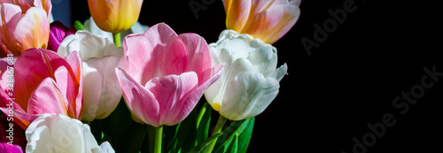 spring flowers banner, bunch of tulip flowers photo