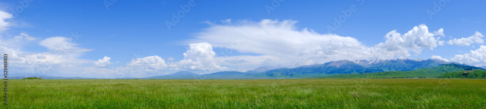 Panoramic landscape of green meadow with cloudy sky and mountains background. Beautiful meadow scenery. Adventure day. Mountain hiking. Mountain valley view. Spring season.
