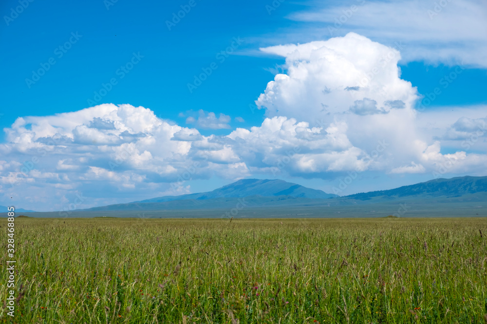 Green meadow with cloudy sky and mountains background. Beautiful meadow scenery. Adventure day. Mountain hiking. Mountain valley view. Spring season. Green meadow with cloudy sky and mountains background. Beautiful meadow scenery. Adventure day. Mountain hiking. Mountain valley view. Spring season.
